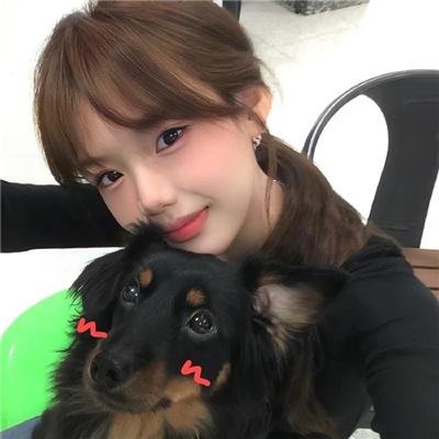 神奇动物在哪里